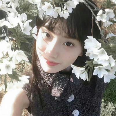 休战协定